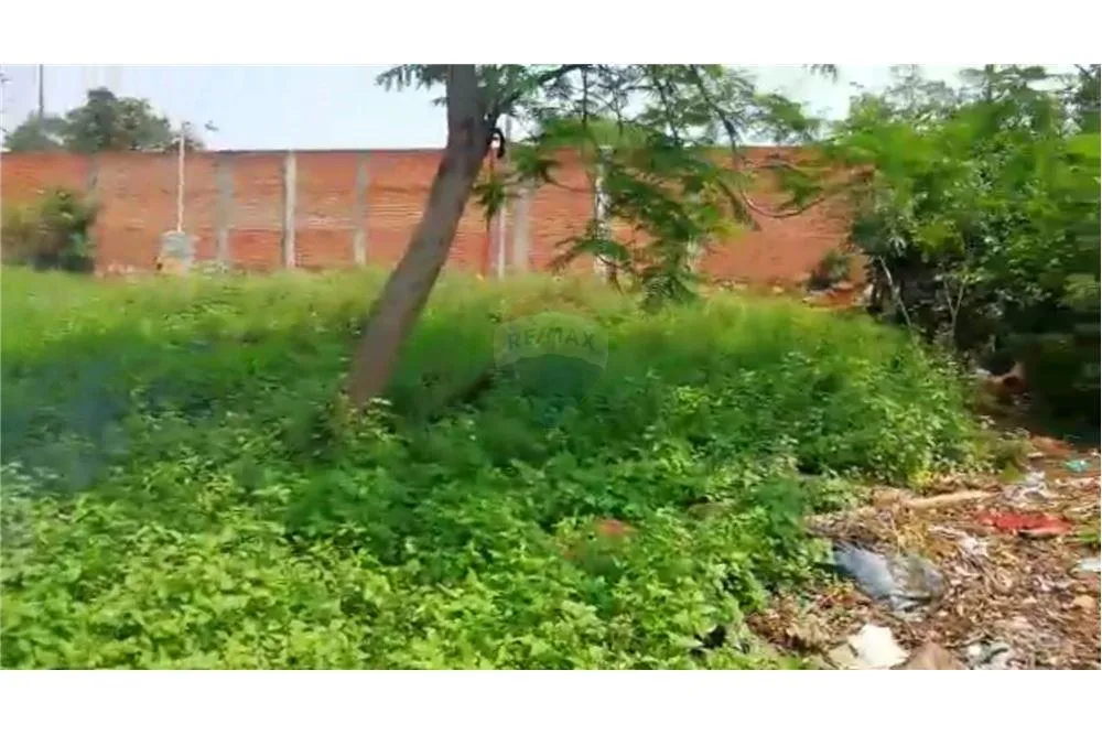 VENDO TERRENO EN MARIANO ROQUE ALONSO — foto 2