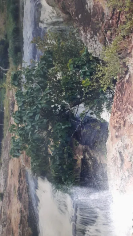 VENDO 109 HECTAREAS CON SALTO INCLUIDO EN CORDILLERA — foto 2