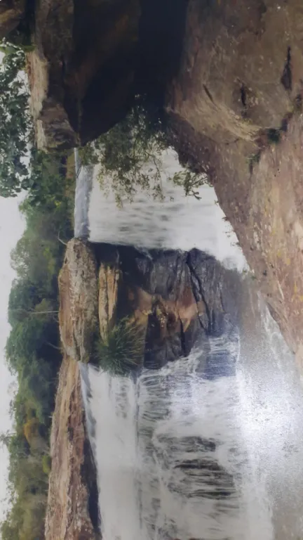 VENDO 109 HECTAREAS CON SALTO INCLUIDO EN CORDILLERA — foto 3