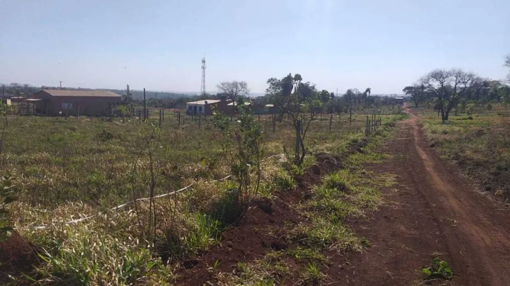 VENDO DOS TERRENOS JUNTOS O SEPARADOS EN PJC — foto 3