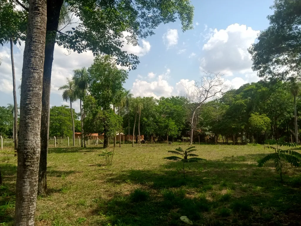 SUPER terreno 35,5X100 mts sobre ASFALTO detrás del Super CACIQUE en CAACUPEMI — foto 3