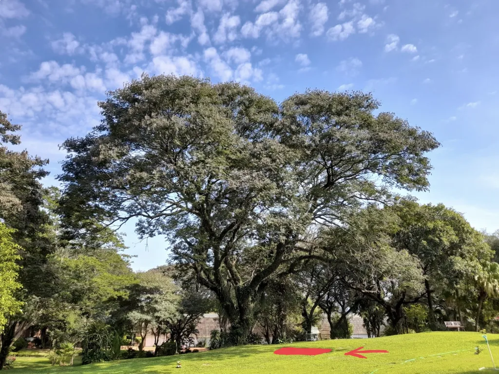 Jardín de la Paz - Lambare | Parcela de 3 lugares para la Venta — foto 2