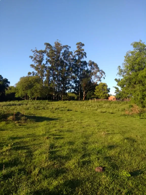 30 Hectáreas en Venta — foto 2