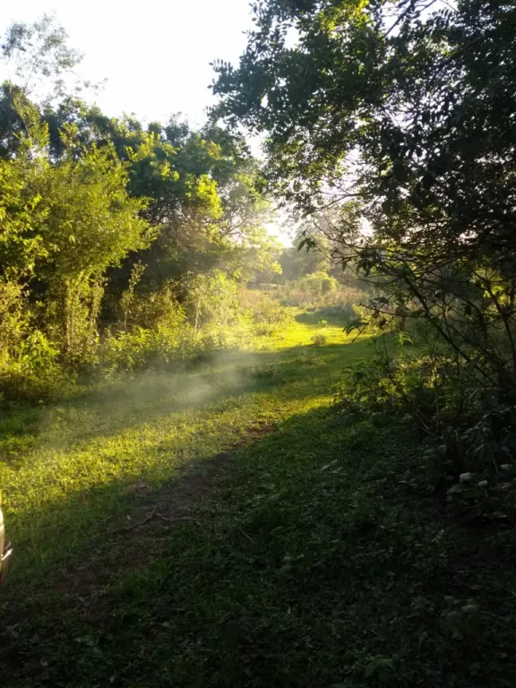 30 Hectáreas en Venta — foto 3