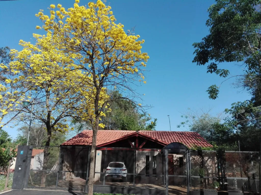 HERMOSA CASA EN SAN LORENZO — foto 3