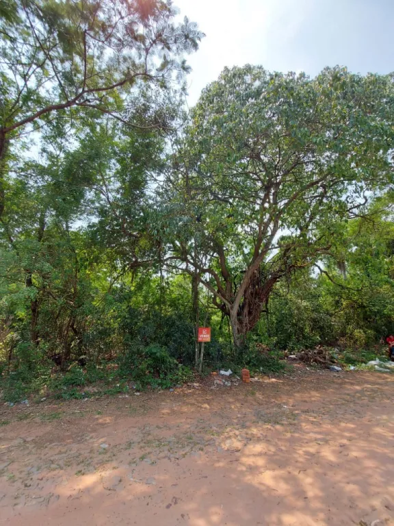 Terreno en venta Urbanización Sadi San Bernardino — foto 3