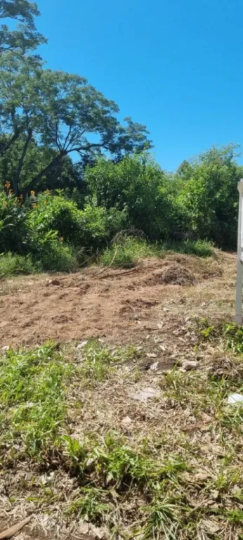 vendo Terreno ubicado en el centro de San Bernardino — foto 2