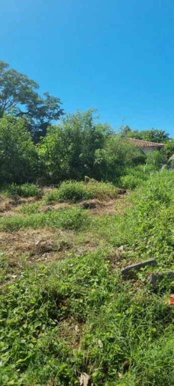 vendo Terreno ubicado en el centro de San Bernardino — foto 3