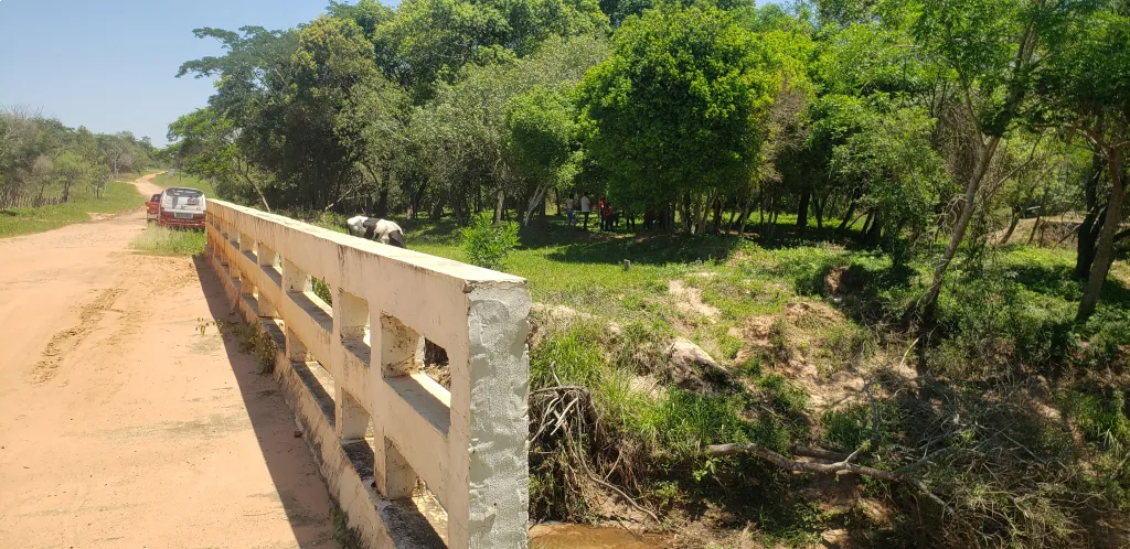 NUEVO LOTEAMIENTO EN CIUDAD DE EUSEBIO AYALA-BARRERO — foto 2