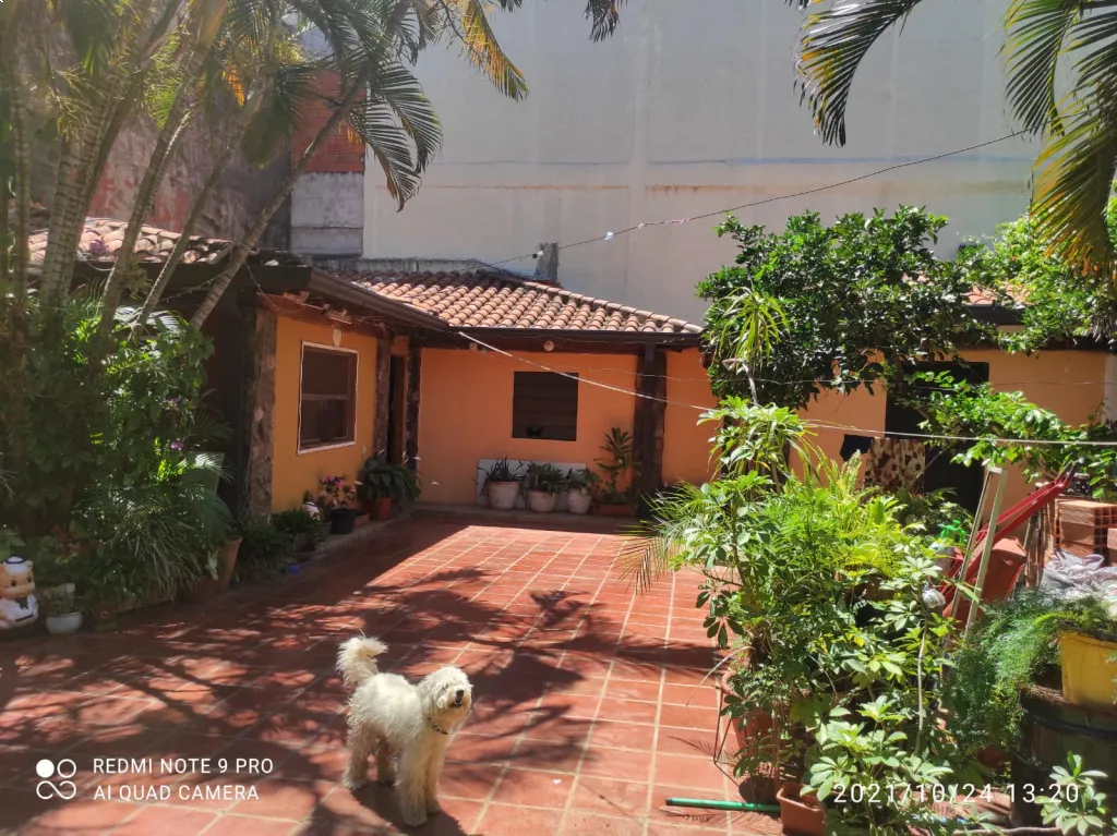 Amplia casa en Asunción a pasos de la avda Mariscal Lopez — foto 2