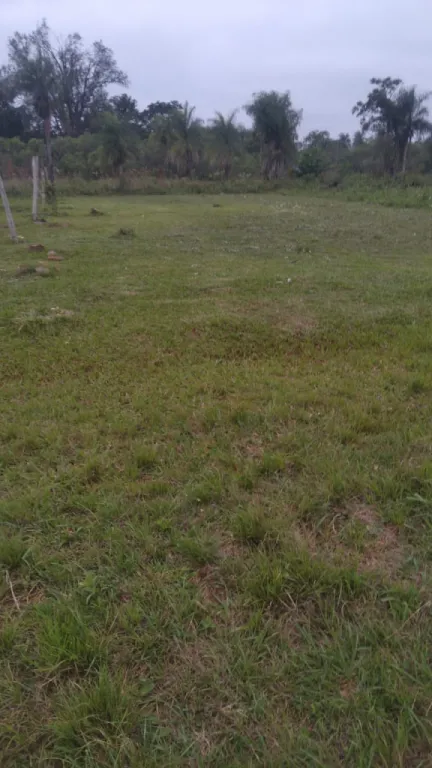 Hermoso terreno san ignacio — foto 3