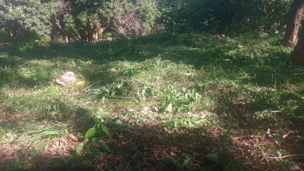 GS. 170 MILLONES TERRENO EN VILLA ELISA... — foto 3