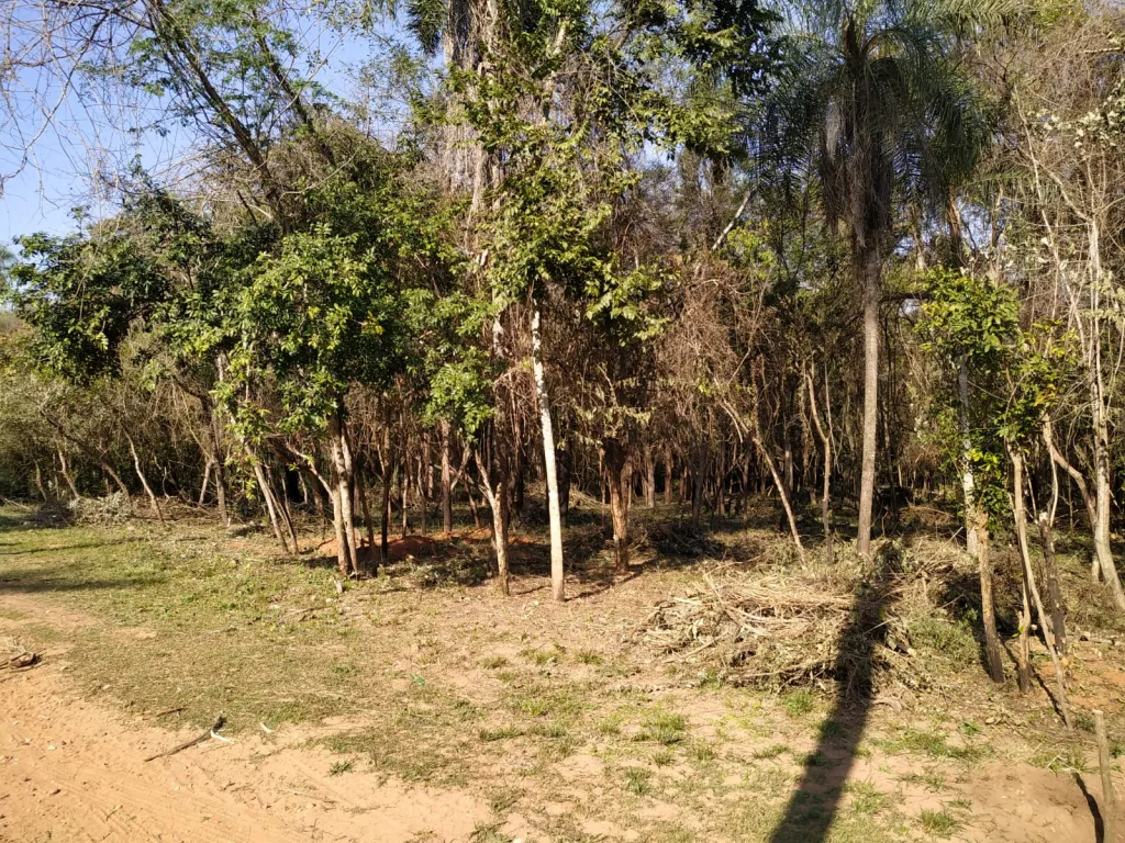 VENDO DOS TERRENOS JUNTOS EN SAN BER — foto 2