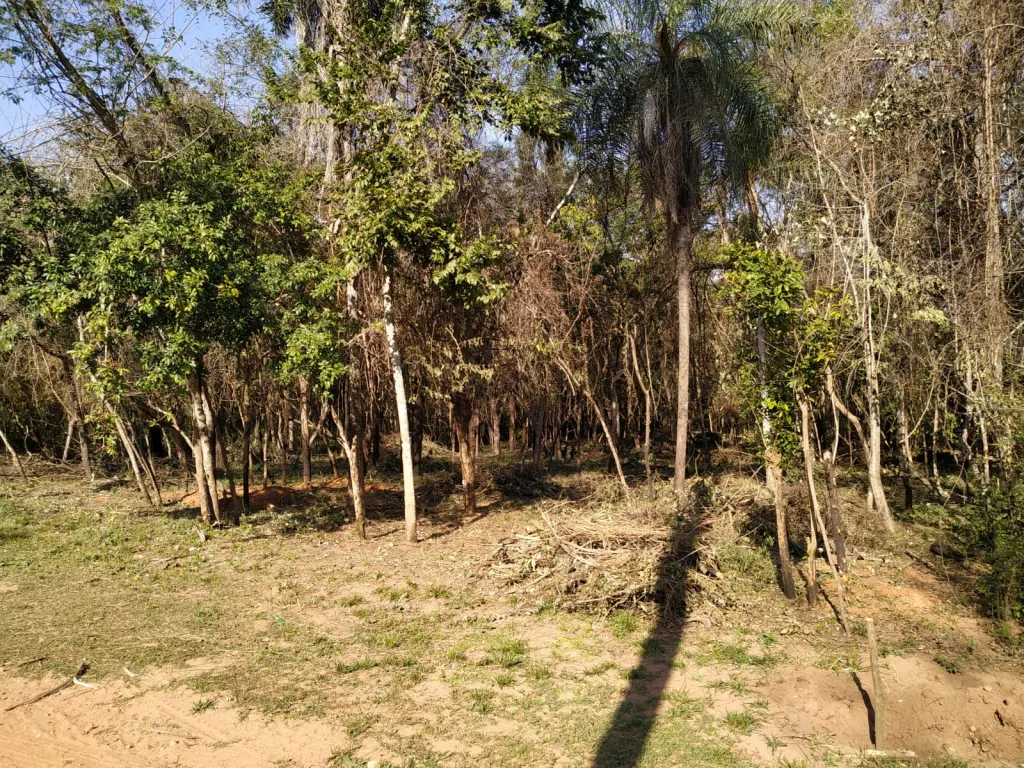 VENDO DOS TERRENOS JUNTOS EN SAN BER — foto 3