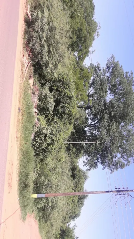 🚨VENDO AMPLIO TERRENO EN LUQUE ESPECIAL PARA LOTEAMIENTO o CONDOMINIO🚨 — foto 3