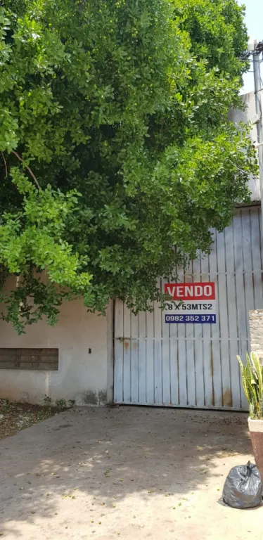 VENDO TINGLADO EN SAN LORENZO — foto 2
