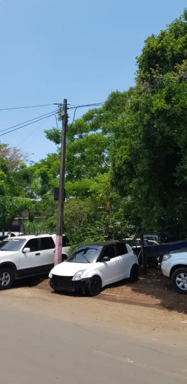 VENDO TINGLADO EN SAN LORENZO — foto 3