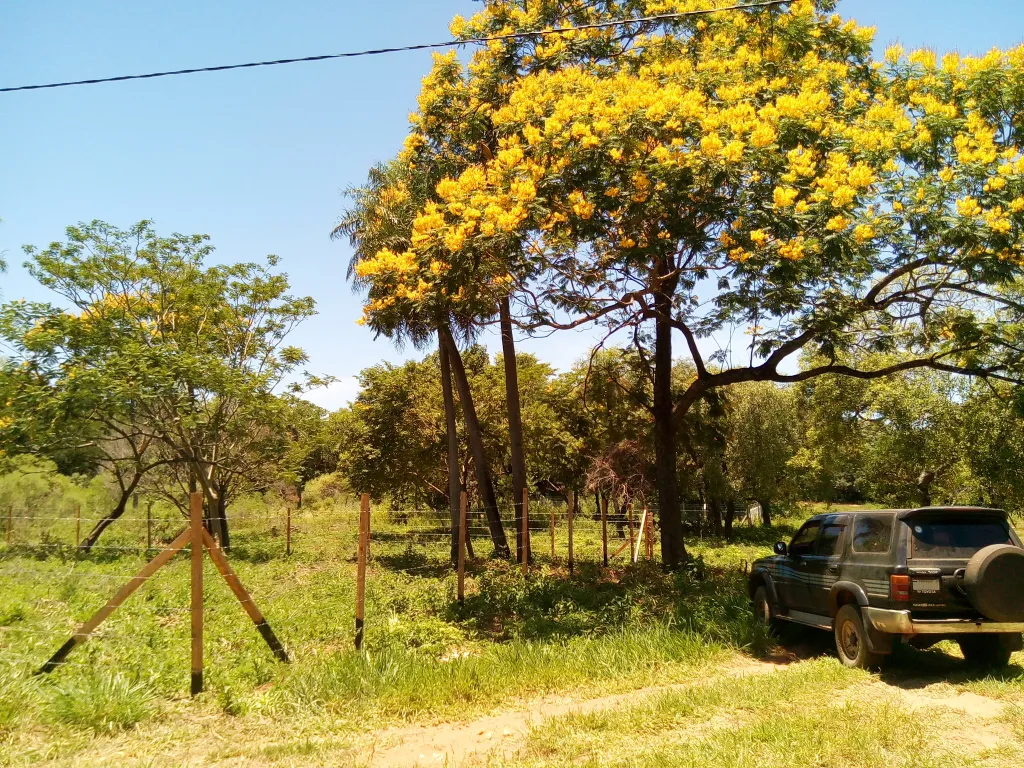 Vendo dos terrenos juntos Ypane, esquinas detràs Stock. — foto 2