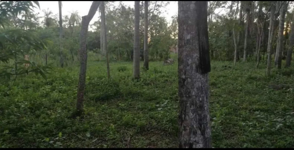HERMOSO TERRENO EN ITAUGUA — foto 2