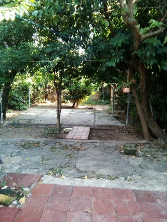 A PASOS DEL CORREDOR VIAL BOTÁNICO — foto 2