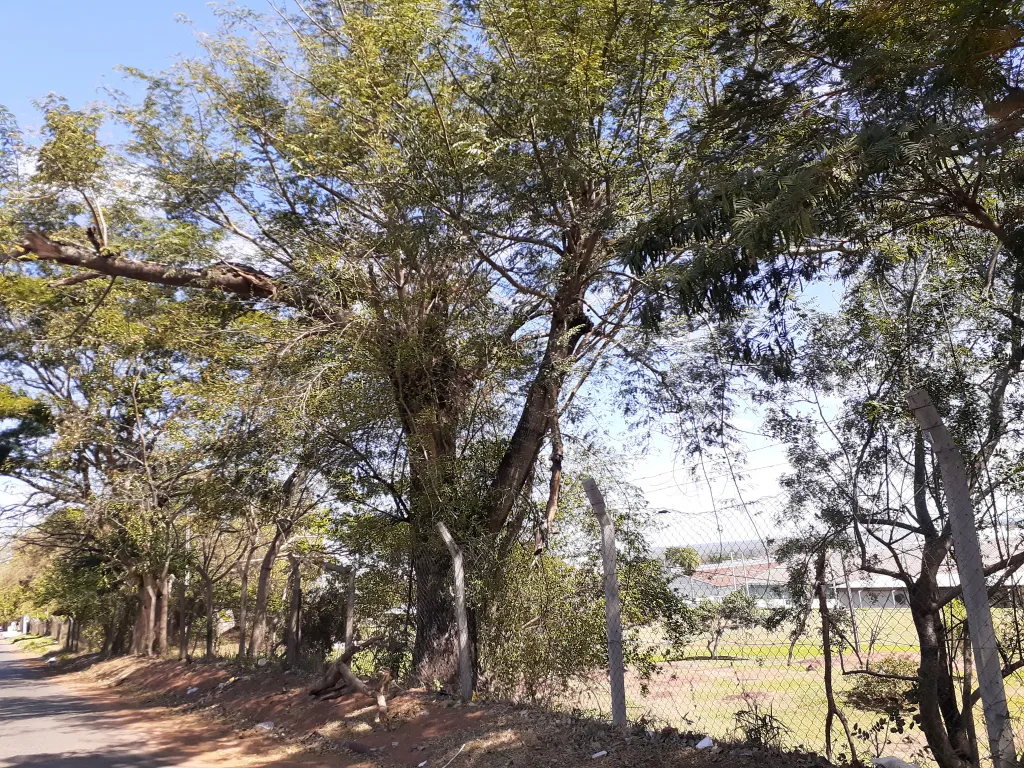 VENDO TERRENO en Villa Elisa ideal para dúplex sobre asfalto — foto 3