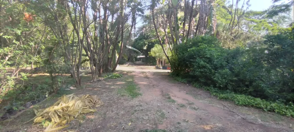 Terreno de 3,5 hectáreas ubicado en Loma Merlo, Luque. — foto 2