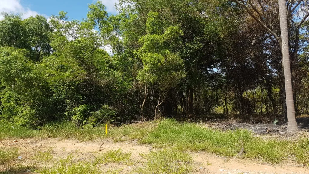 VENDO TERRENO EN ALTOS CON VISTA — foto 3