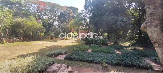 Terreno de 3,5 hectáreas ubicado en Loma Merlo, Luque — foto 2