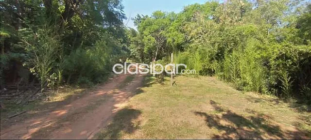 Terreno de 3,5 hectáreas ubicado en Loma Merlo, Luque — foto 3