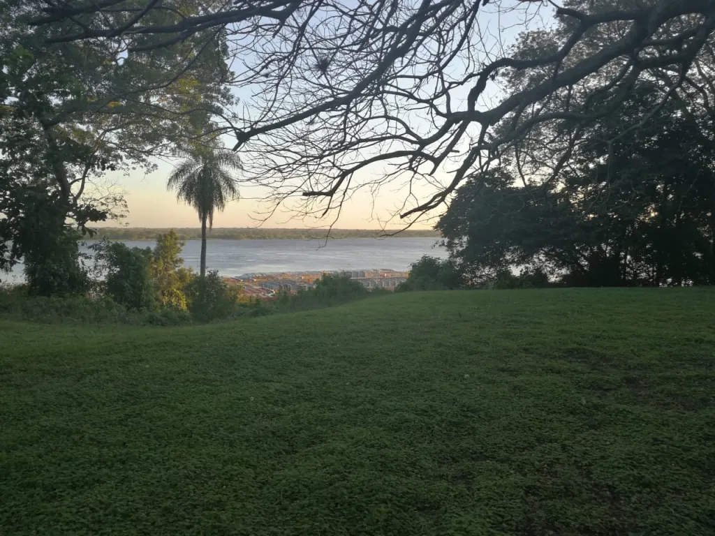 Espectacular terreno de 2,1 hás en Lambaré — foto 2