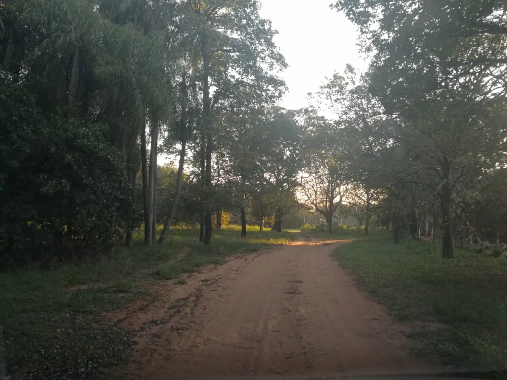 Espectacular terreno de 2,1 hás en Lambaré — foto 3