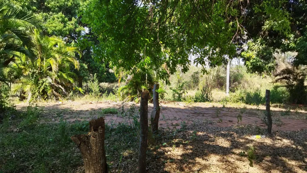 Vendo una Quinta en la ciudad de Limpio — foto 2