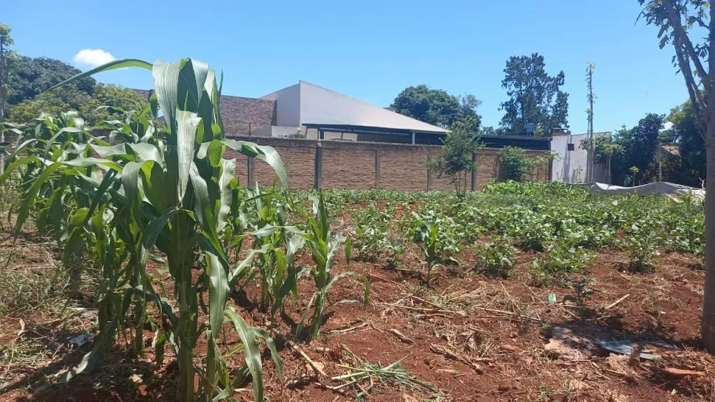 OFERTA TERRENO ESQUINA A 200MTS DE LA RUTA PY02 KM 19 ACARAY MINGA GUAZU — foto 2
