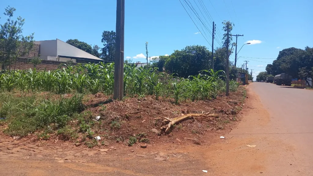 OFERTA TERRENO ESQUINA A 200MTS DE LA RUTA PY02 KM 19 ACARAY MINGA GUAZU — foto 3
