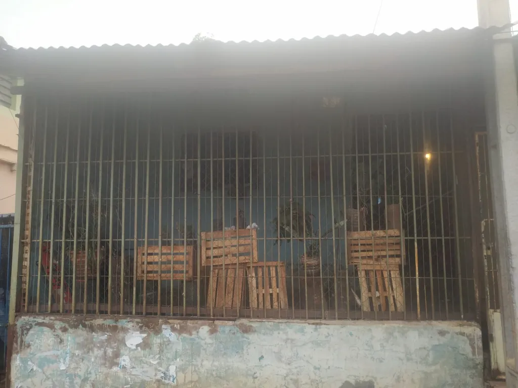 VENDO UNA CASA EN ZONA DE VILLA ELISA — foto 2