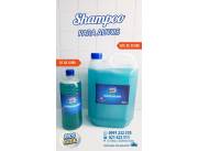 Shampoo para Auto
