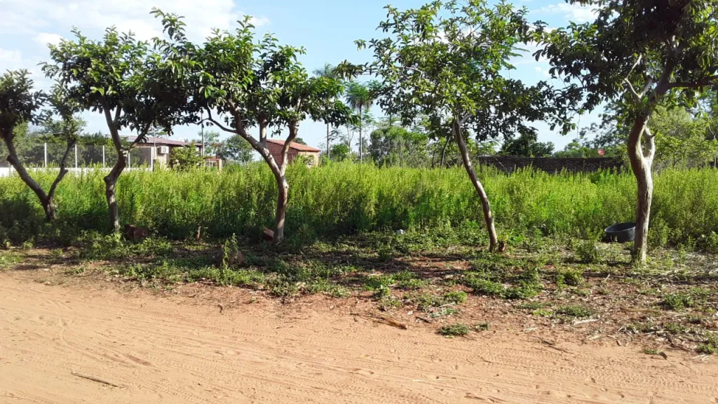 Hermoso terreno en Yaguarón — foto 2