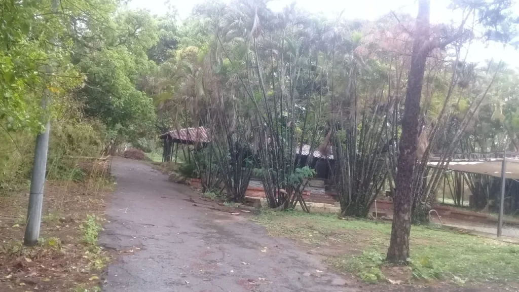 Alquilo quinta con piscina (1,5 hectáreas) — foto 3