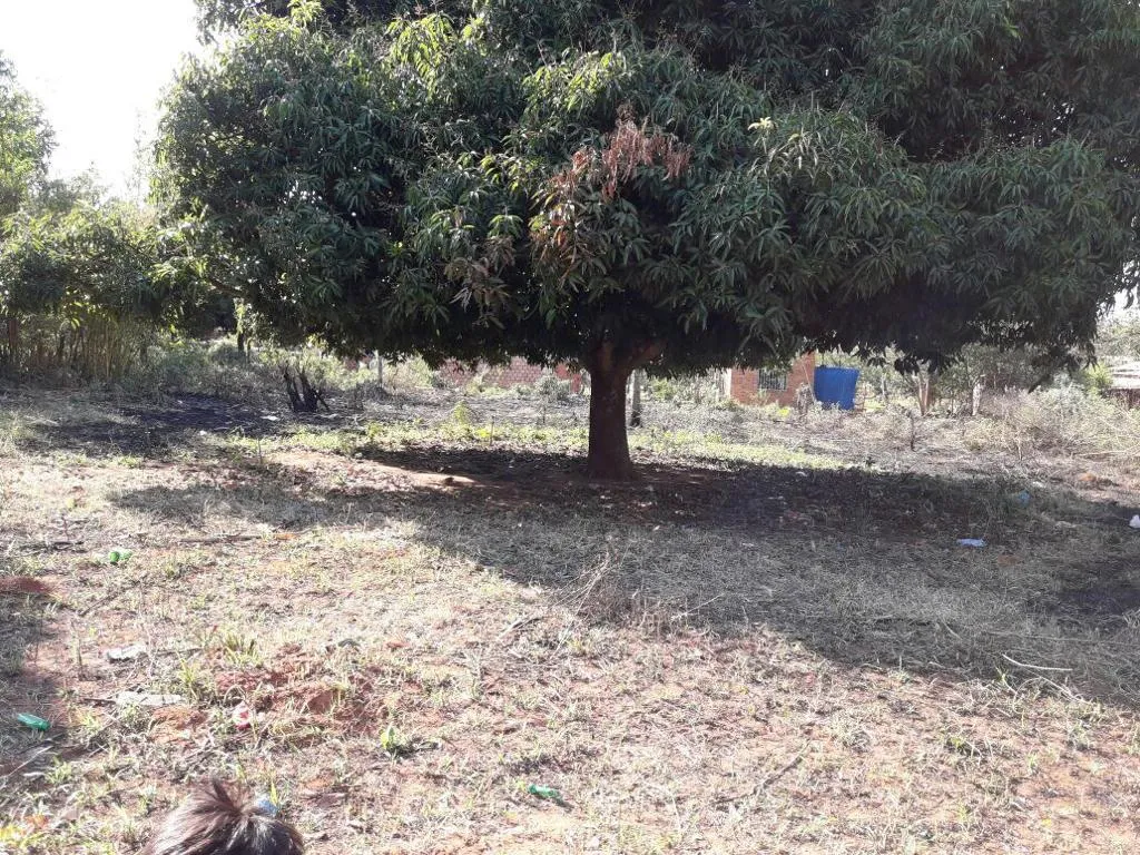 Vendo Terrenos en Yukyry - Luque — foto 2