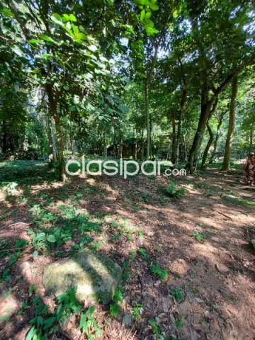 Por ideas de 8,5 ha en Paraguari — foto 3