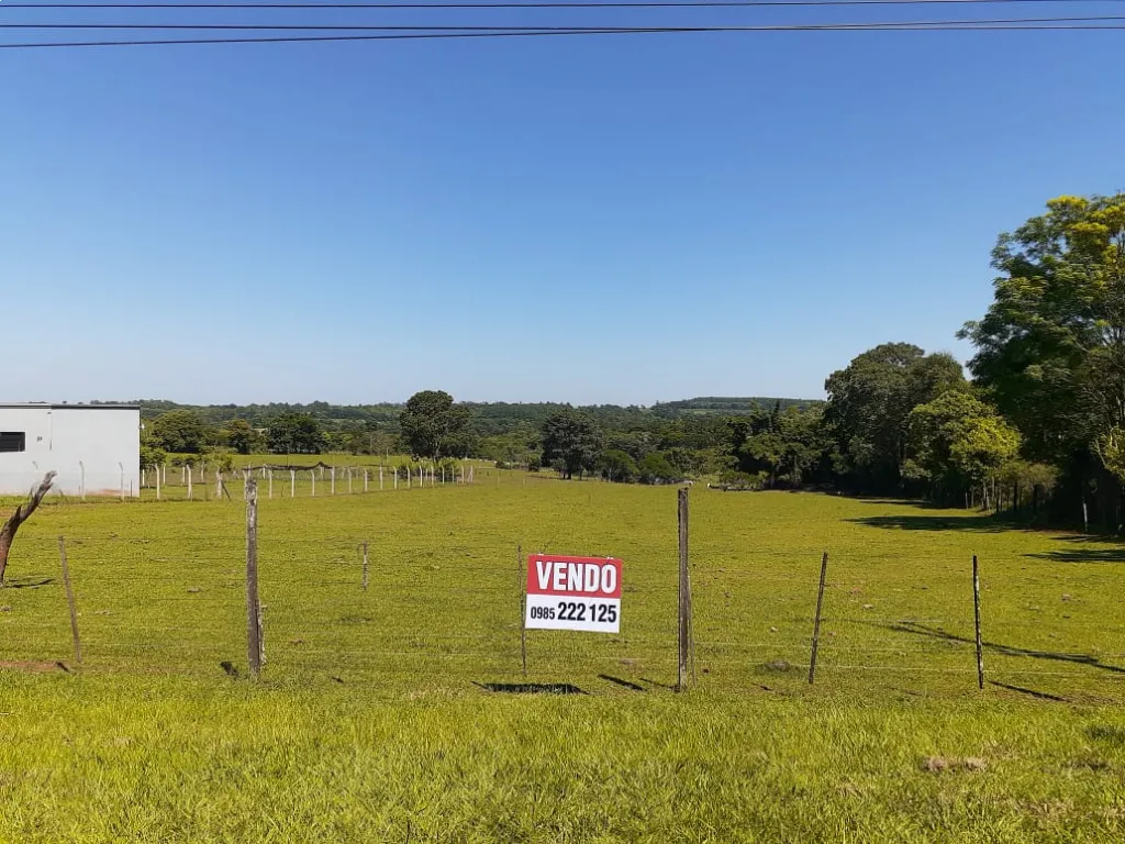 Vendo terreno sobre ruta 6 capitan miranda — foto 3