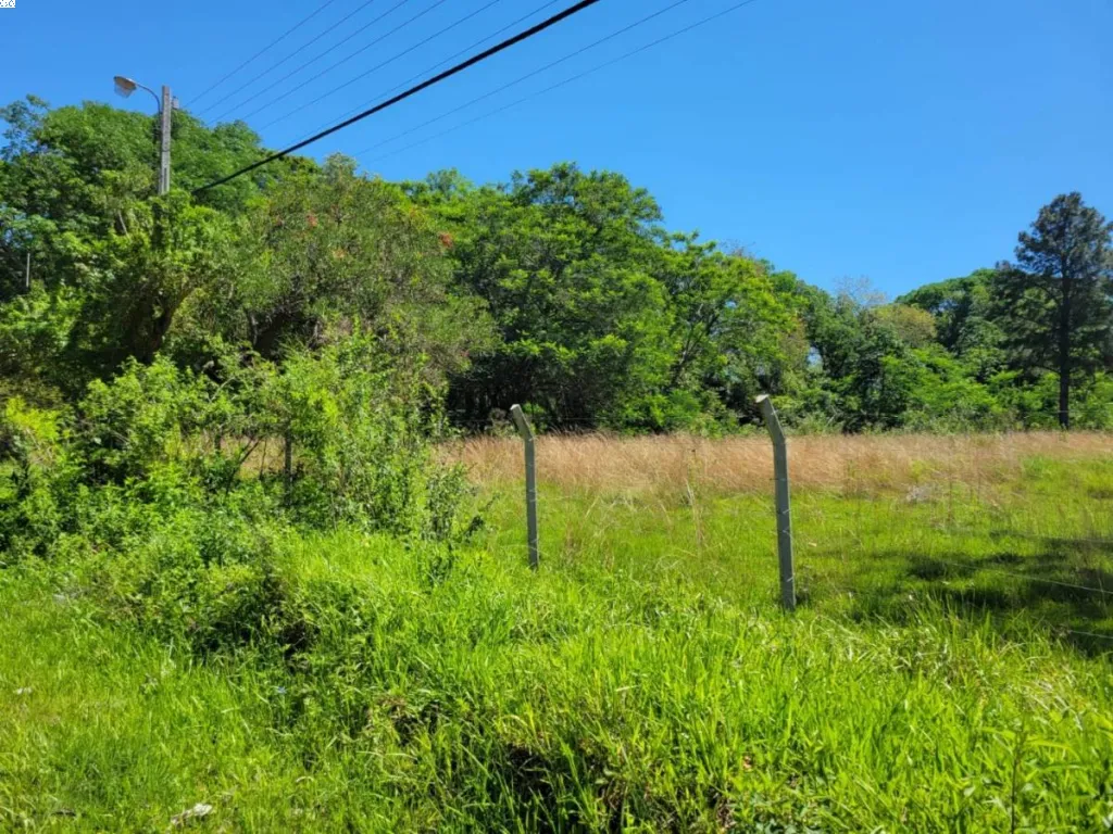 6 terrenos juntos en inmejorable ubicación en San Bernardino — foto 3