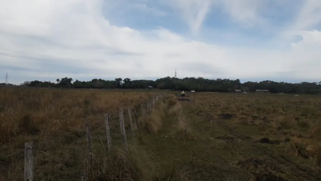 VENDO ESTANCIA AGROGANADERA DE 1100 HA EN AYOLAS — foto 2