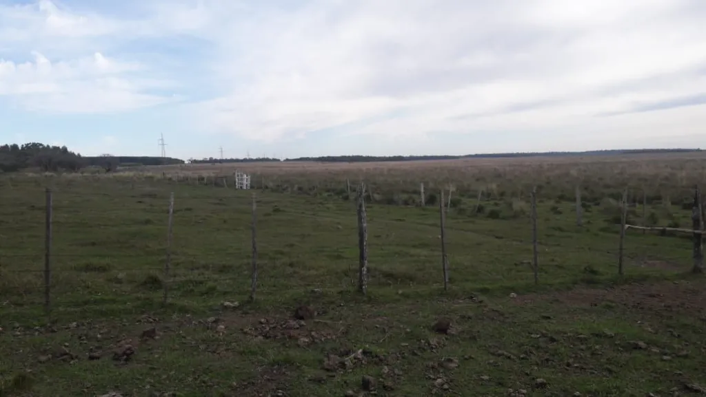 VENDO ESTANCIA AGROGANADERA DE 1100 HA EN AYOLAS — foto 3