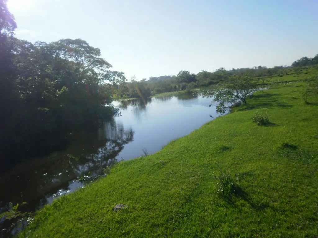 VENDO 500 HA EN JUAN DE MENA CORDILLERA — foto 2