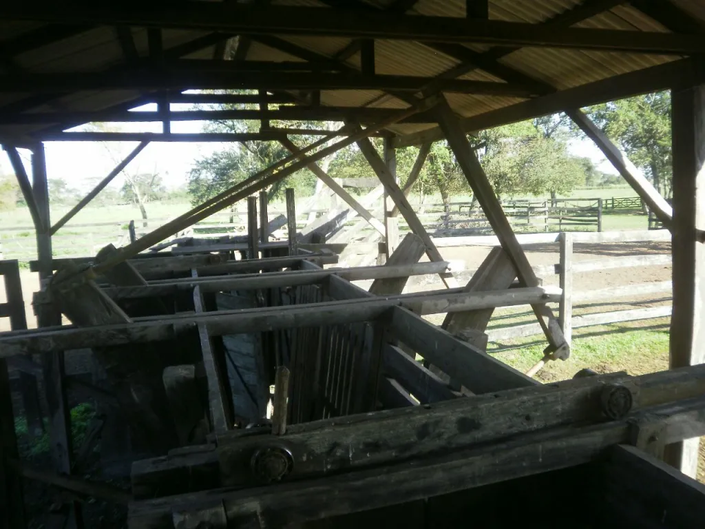 VENDO 500 HA EN JUAN DE MENA CORDILLERA — foto 3