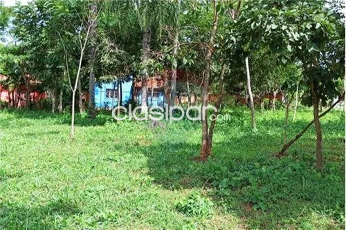 Terreno en ¡OFERTA! en Limpio — foto 2
