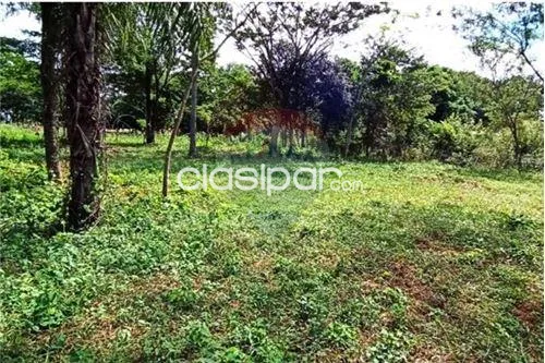 Terreno en ¡OFERTA! en Limpio — foto 3