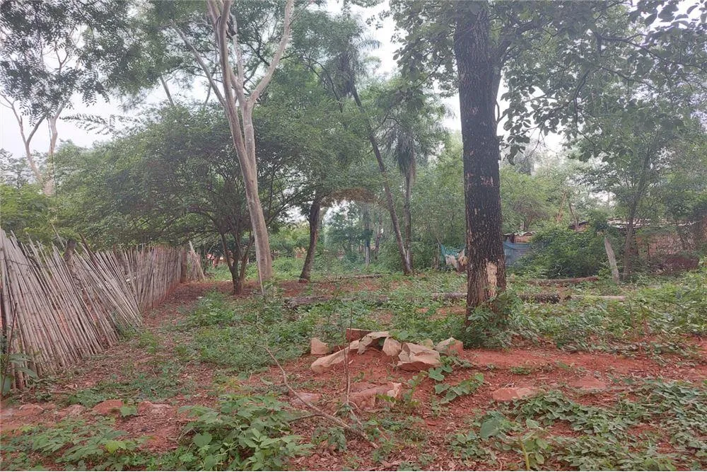 VENDO TERRENO EN LUQUE — foto 2