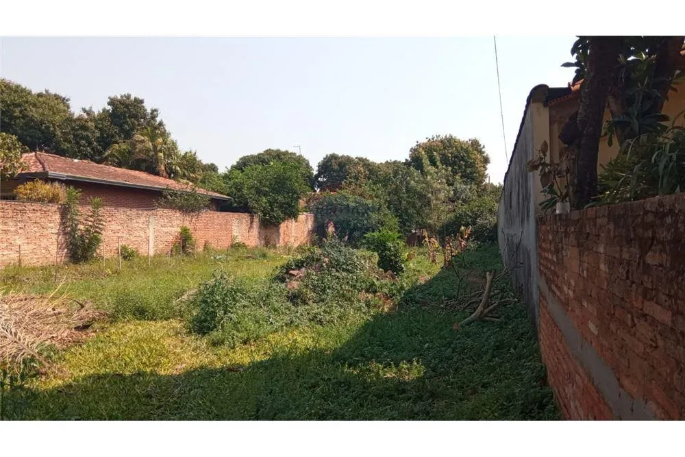 VENDO TERRENO EN LUQUE — foto 2